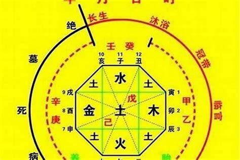 喜神是水|八字入门基础 第六篇 如何判断八字喜用神